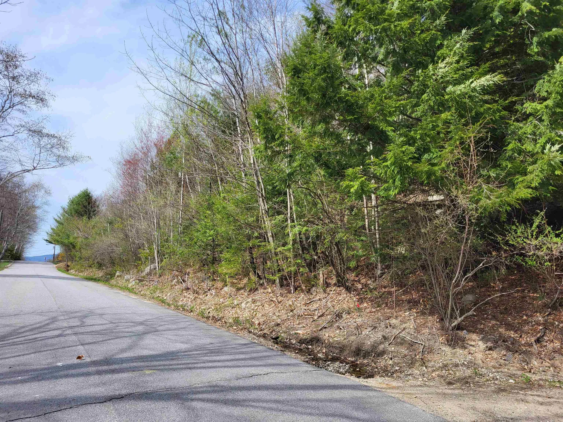 Lot 45 Fox Run Bristol NH 03222