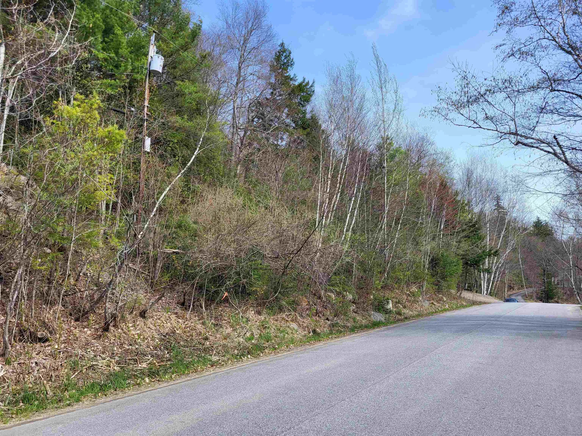 Lot 45 Fox Run Bristol NH 03222