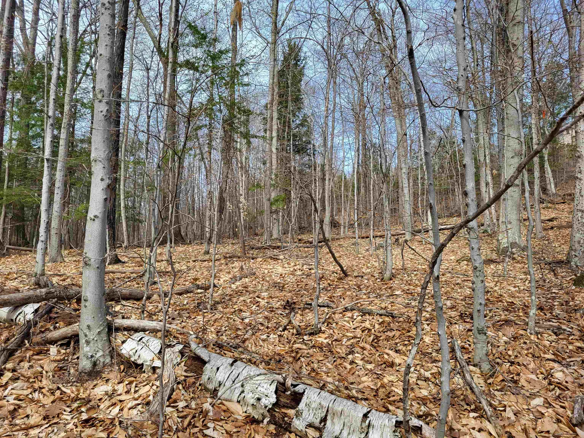 Lot 45 Fox Run Bristol NH 03222