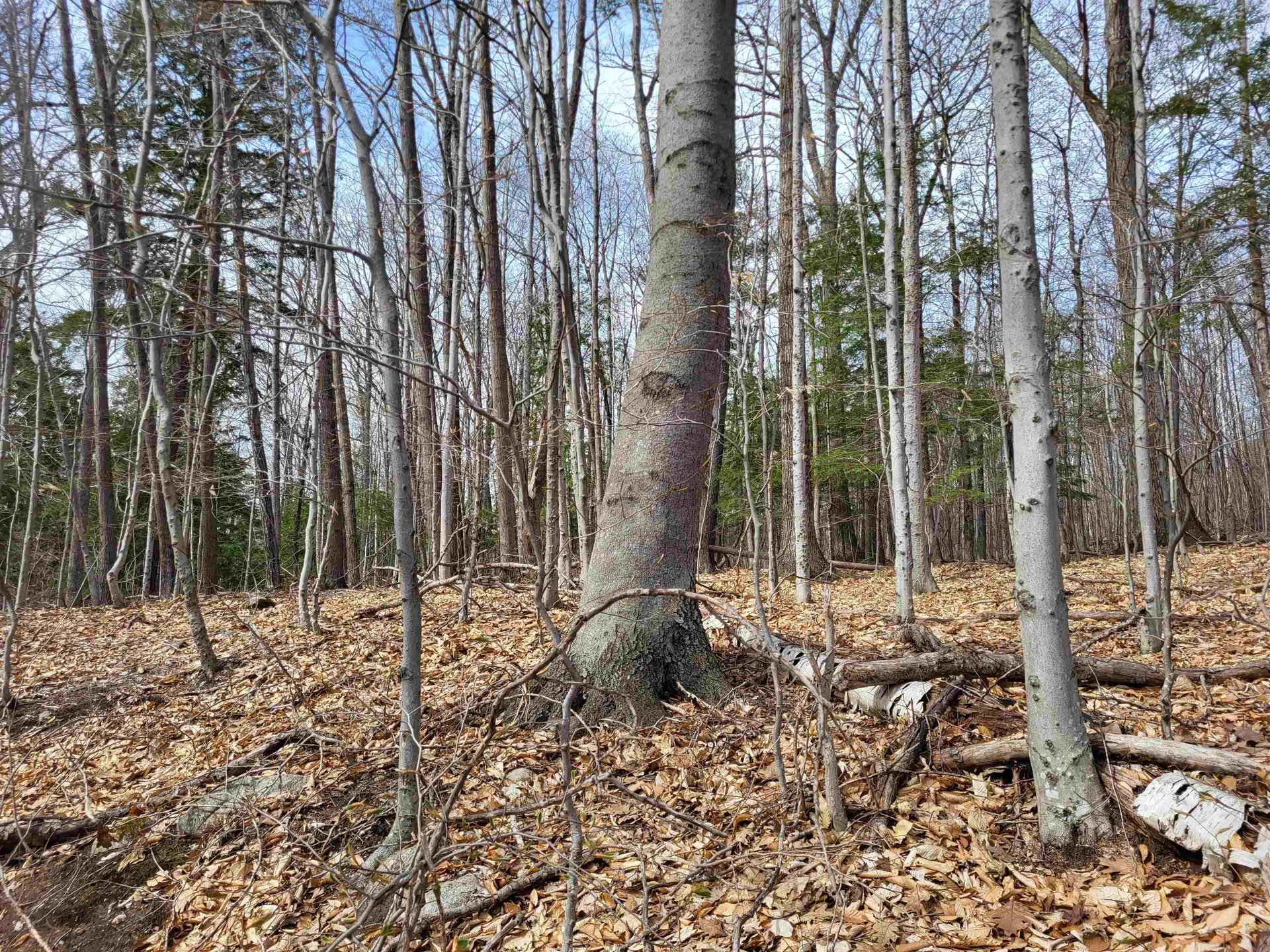 Lot 45 Fox Run Bristol NH 03222