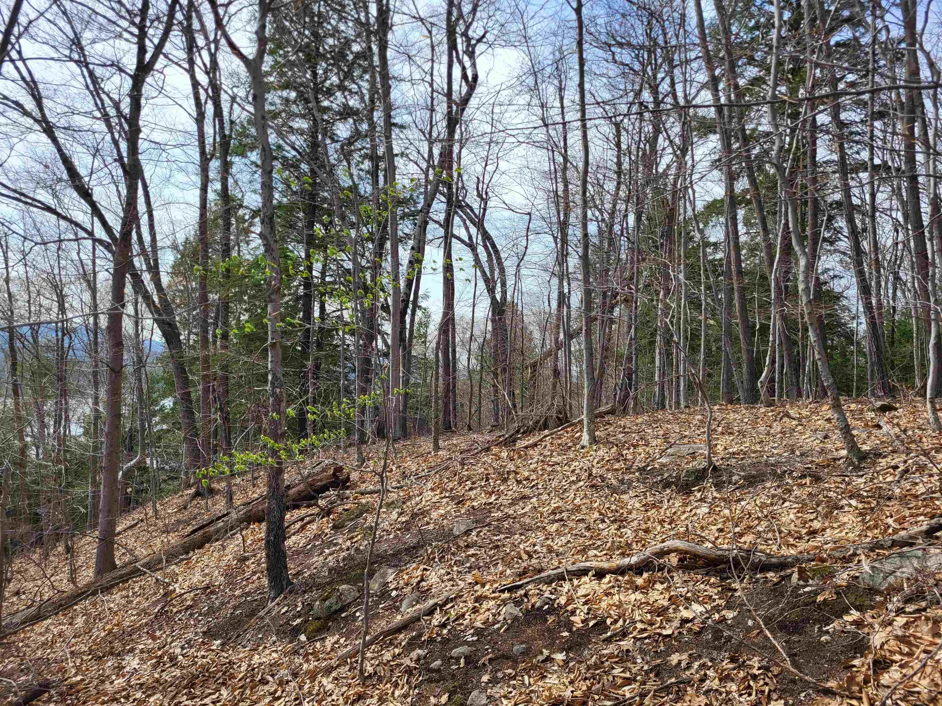 Lot 45 Fox Run Bristol NH 03222