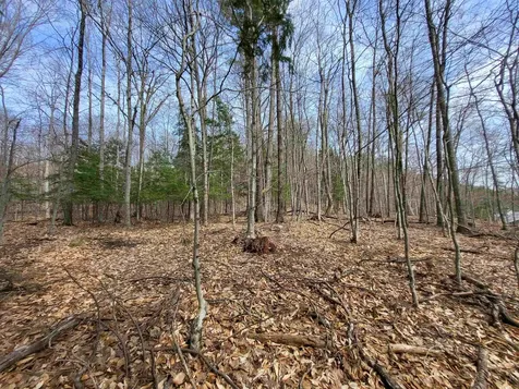 Lot 45 Fox Run Bristol NH 03222