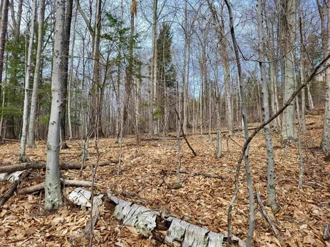 Lot 45 Fox Run Bristol NH 03222