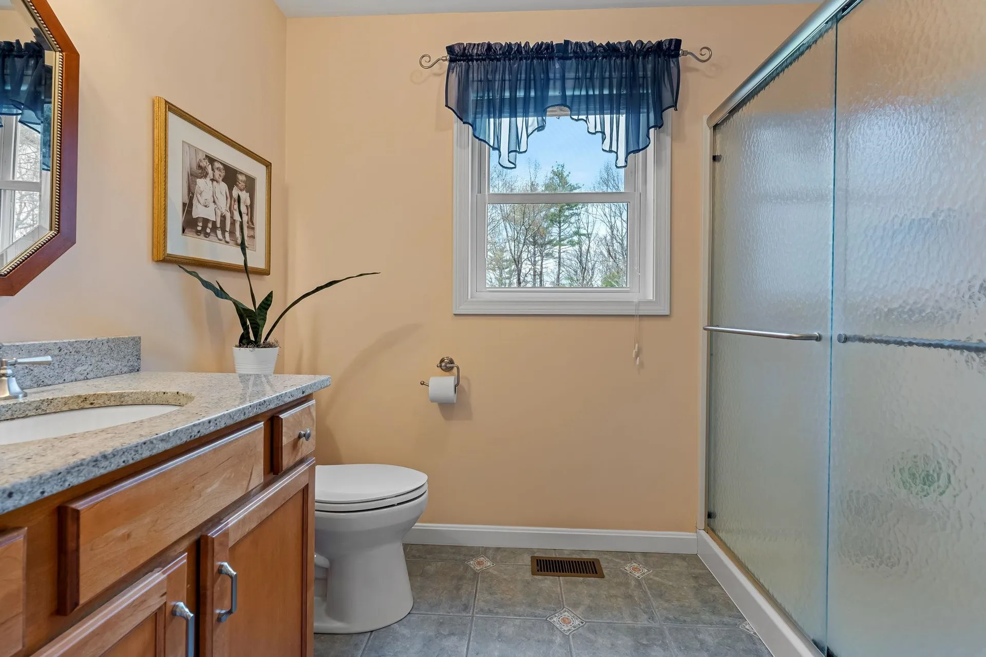 17 Mosher Drive Brookline NH 03033