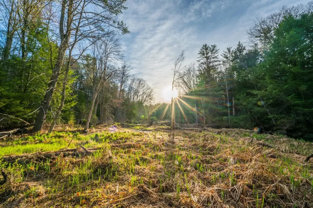 292 Baker Road Sutton NH 03260