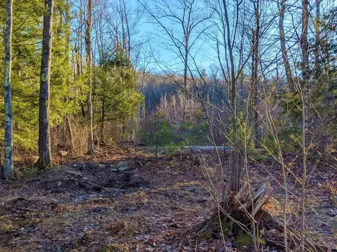 Tbd Parsonage Hill Road Gilmanton NH 03237