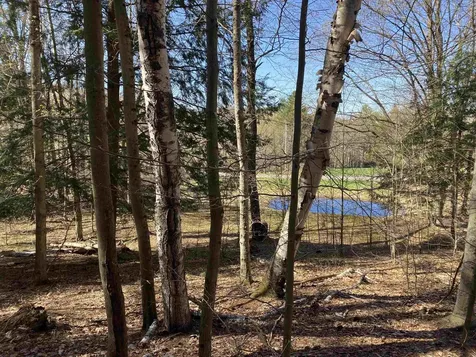 276 Dutton District Road Springfield VT 05156