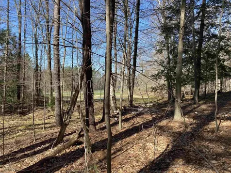 276 Dutton District Road Springfield VT 05156