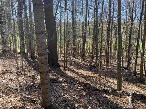 276 Dutton District Road Springfield VT 05156