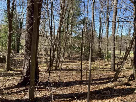 276 Dutton District Road Springfield VT 05156