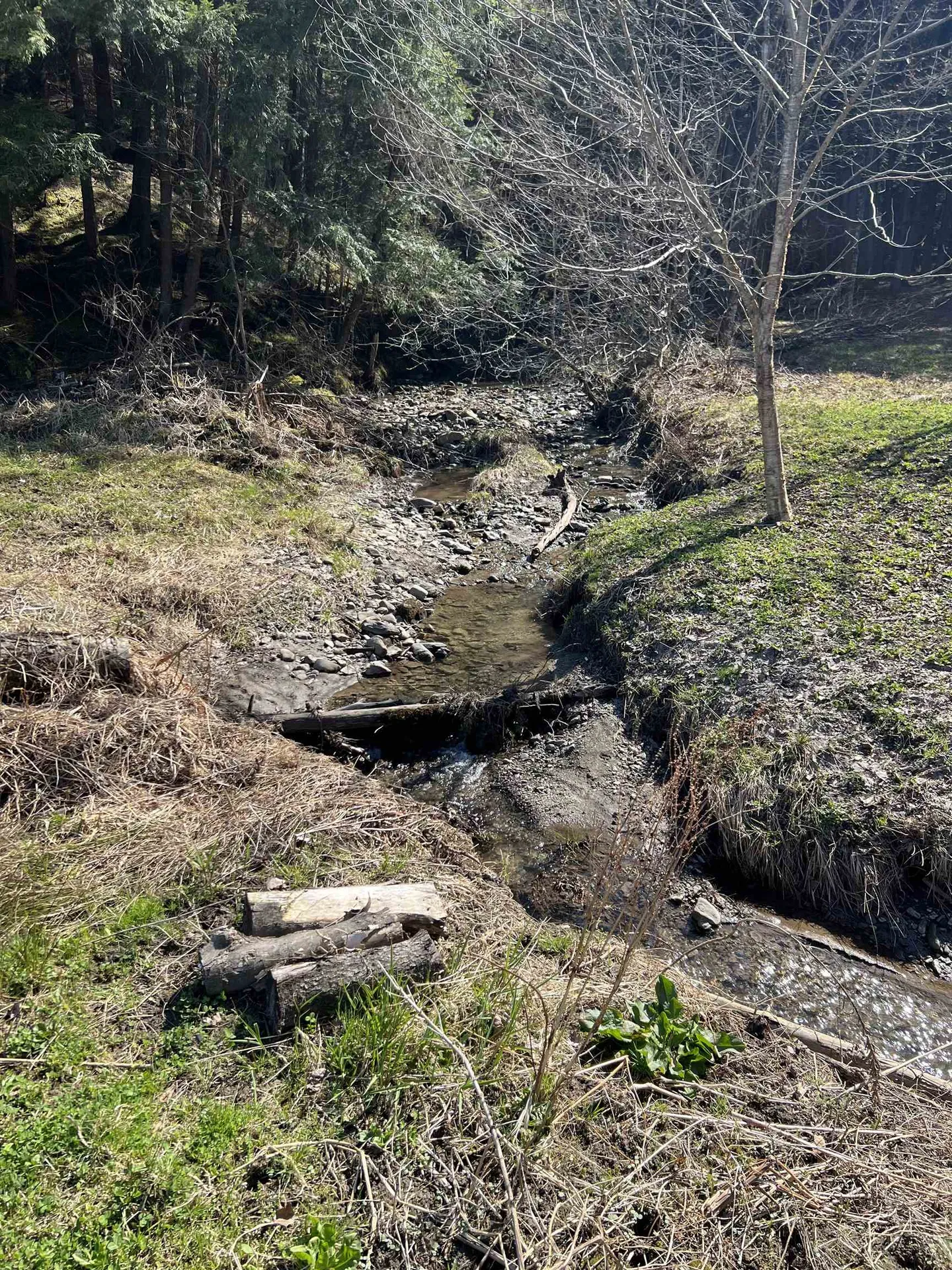 29 Talcott Road Fairfax VT 05454