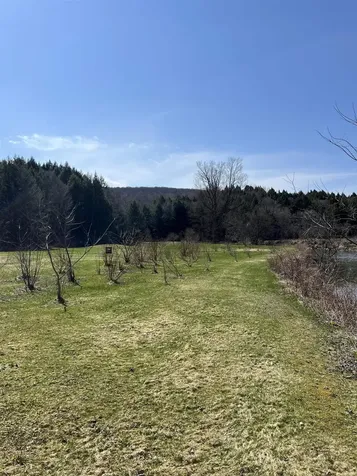 29 Talcott Road Fairfax VT 05454