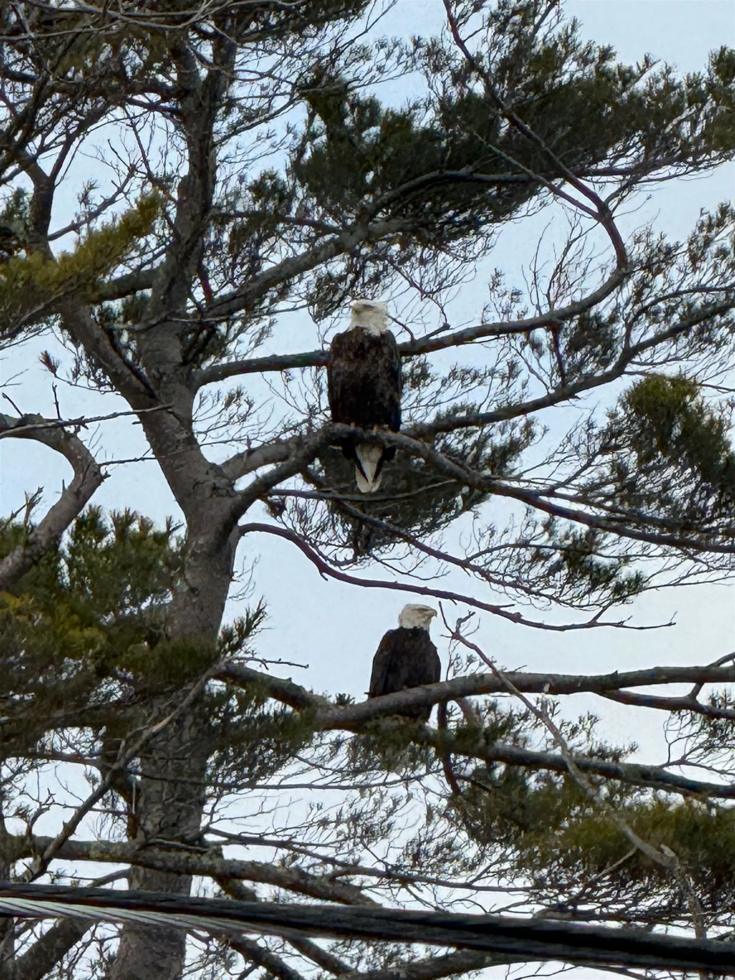 481 High Street Hampton NH 03842