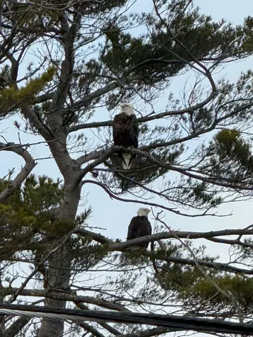 481 High Street Hampton NH 03842