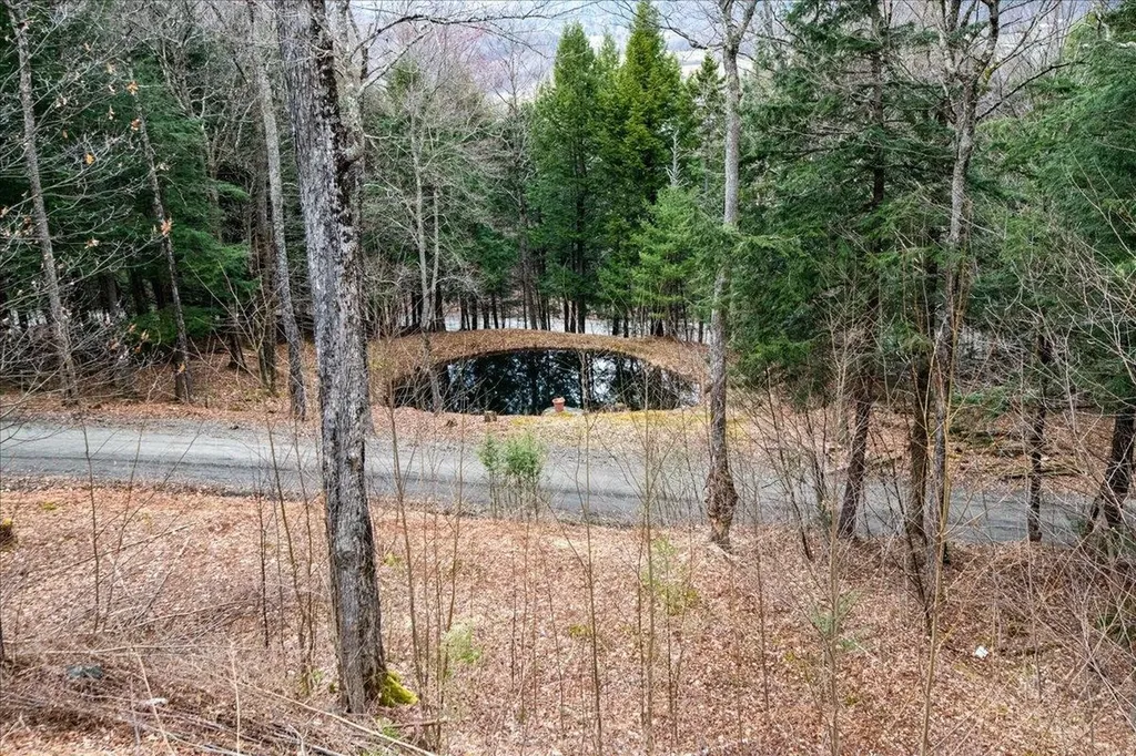 379 Upper French Hill Road Johnson VT 05656