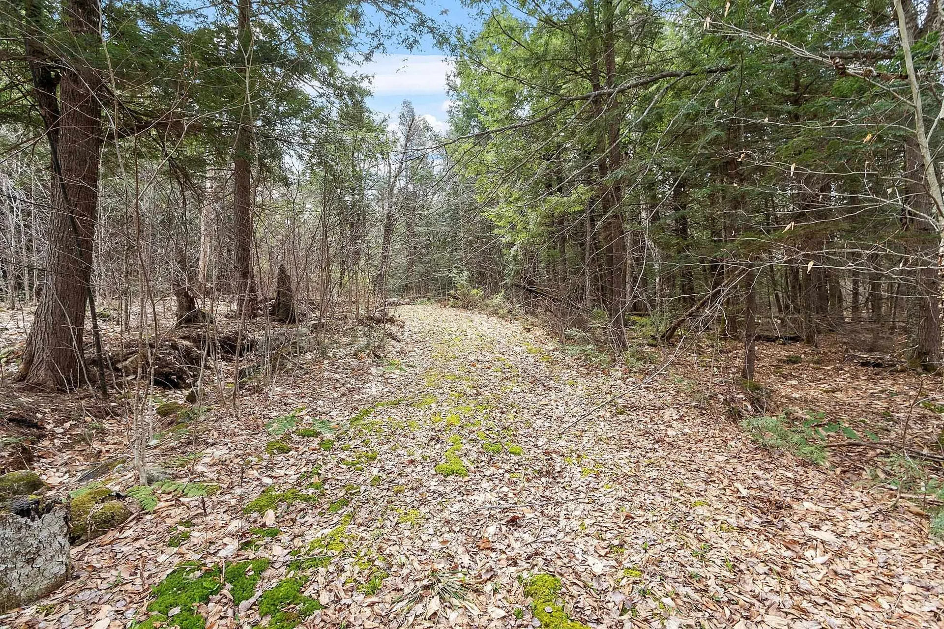 Map 20 Lot 13 Beach Pond Road Wolfeboro NH 03894