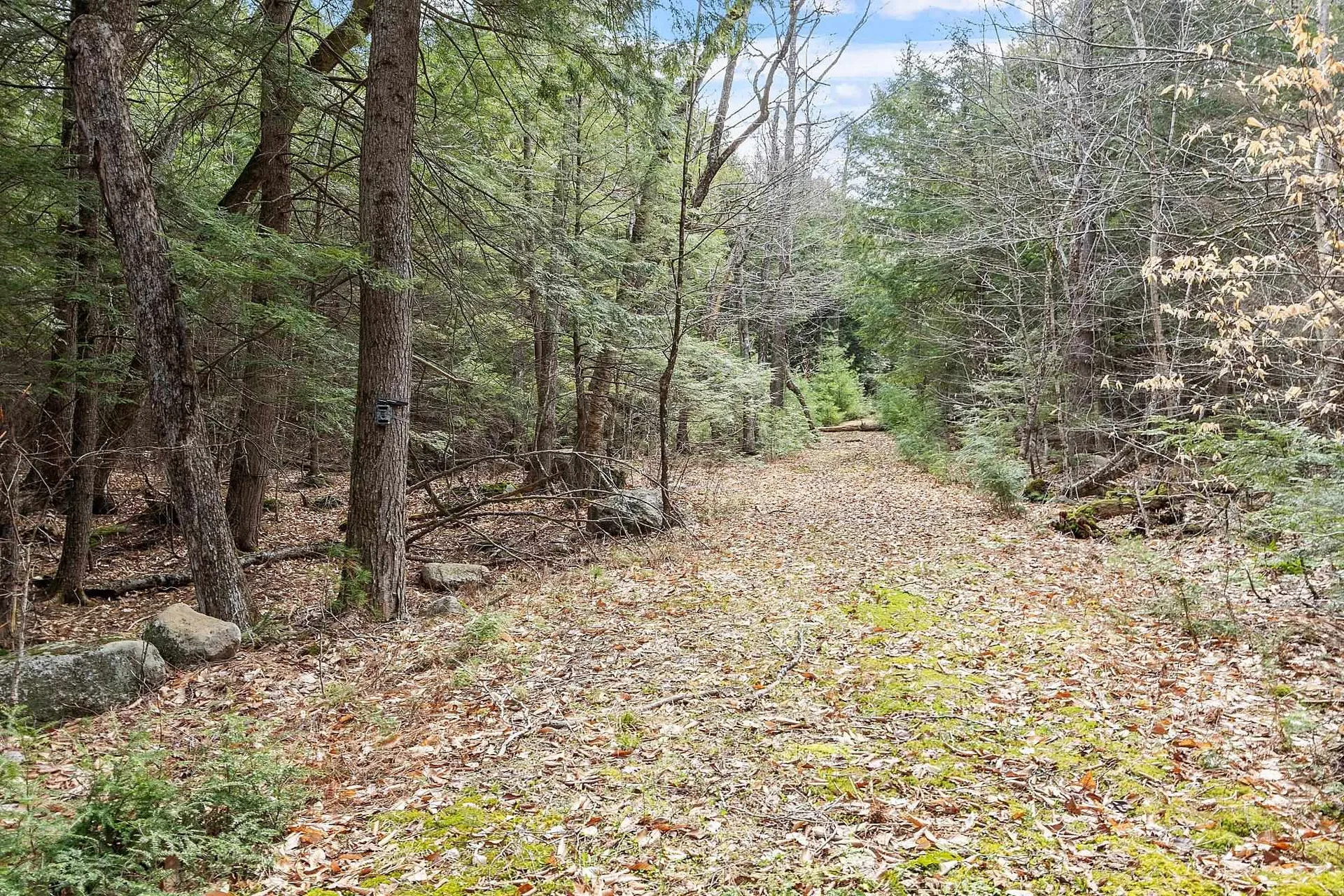 Map 20 Lot 13 Beach Pond Road Wolfeboro NH 03894