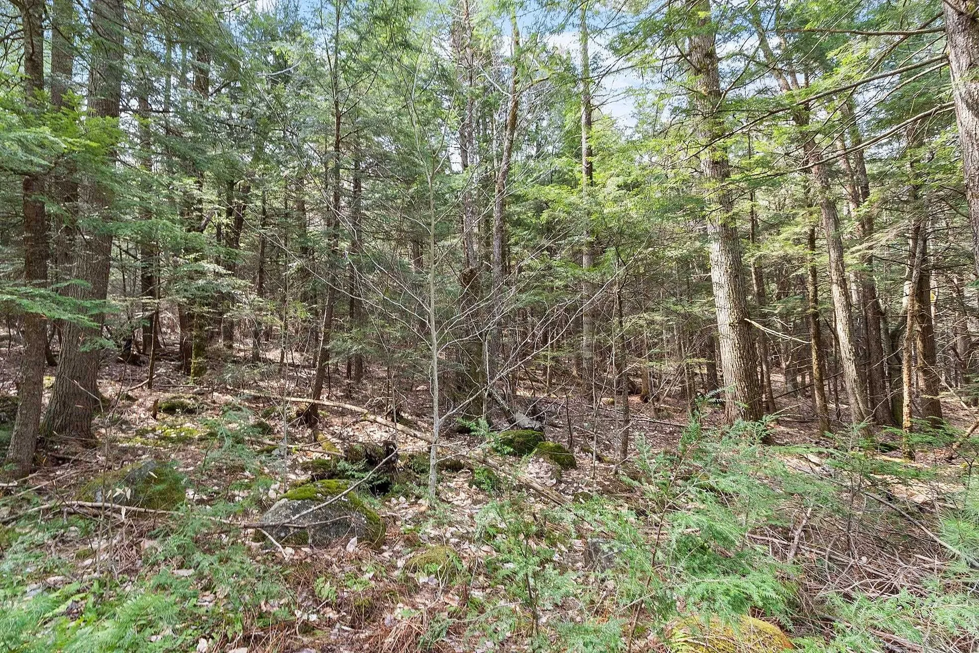 Map 20 Lot 13 Beach Pond Road Wolfeboro NH 03894