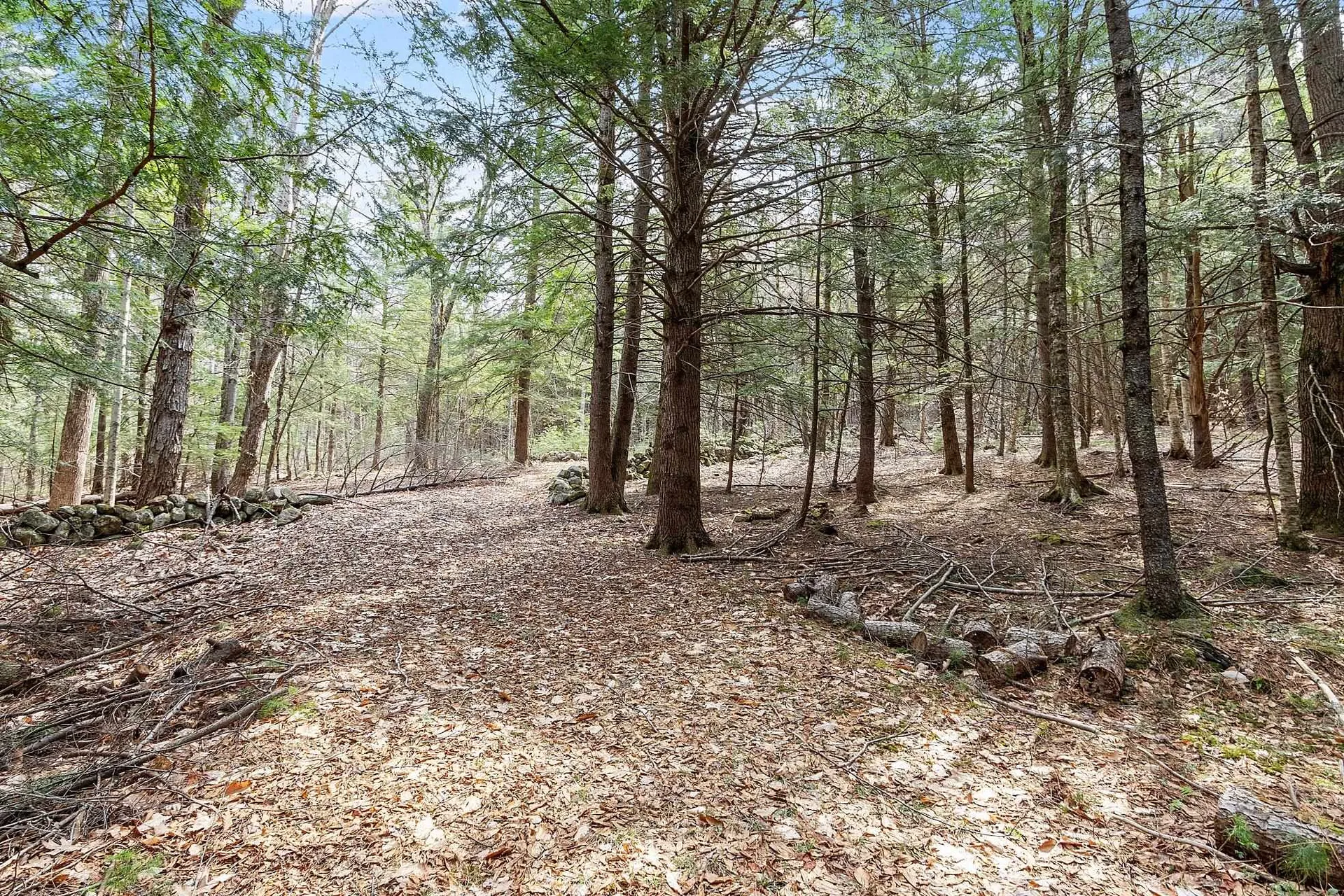 Map 20 Lot 13 Beach Pond Road Wolfeboro NH 03894