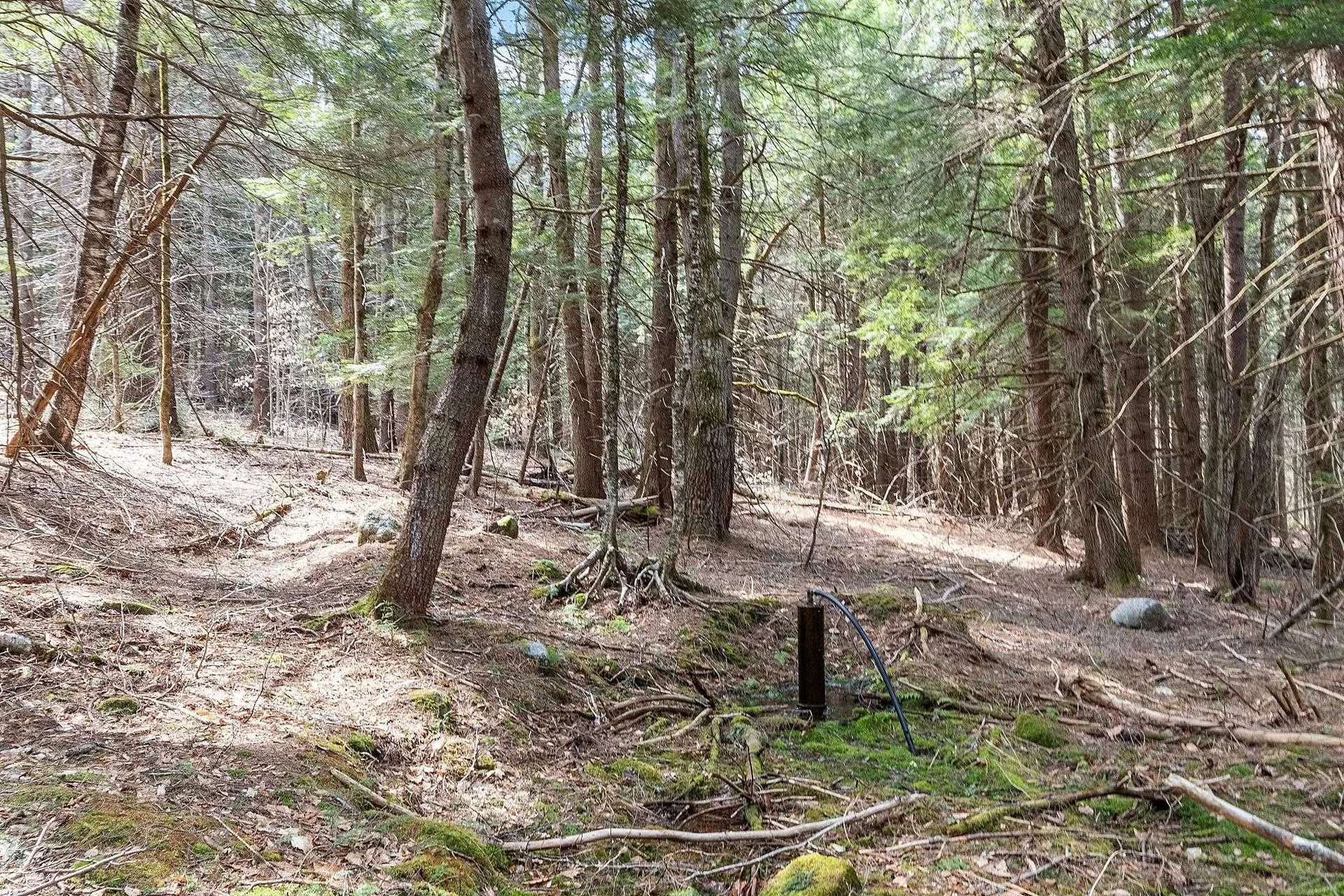 Map 20 Lot 13 Beach Pond Road Wolfeboro NH 03894