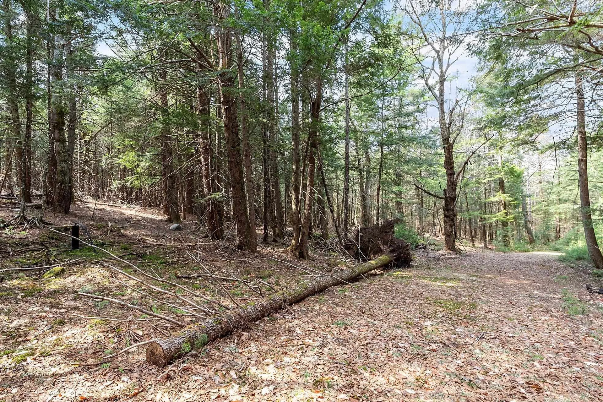 Map 20 Lot 13 Beach Pond Road Wolfeboro NH 03894