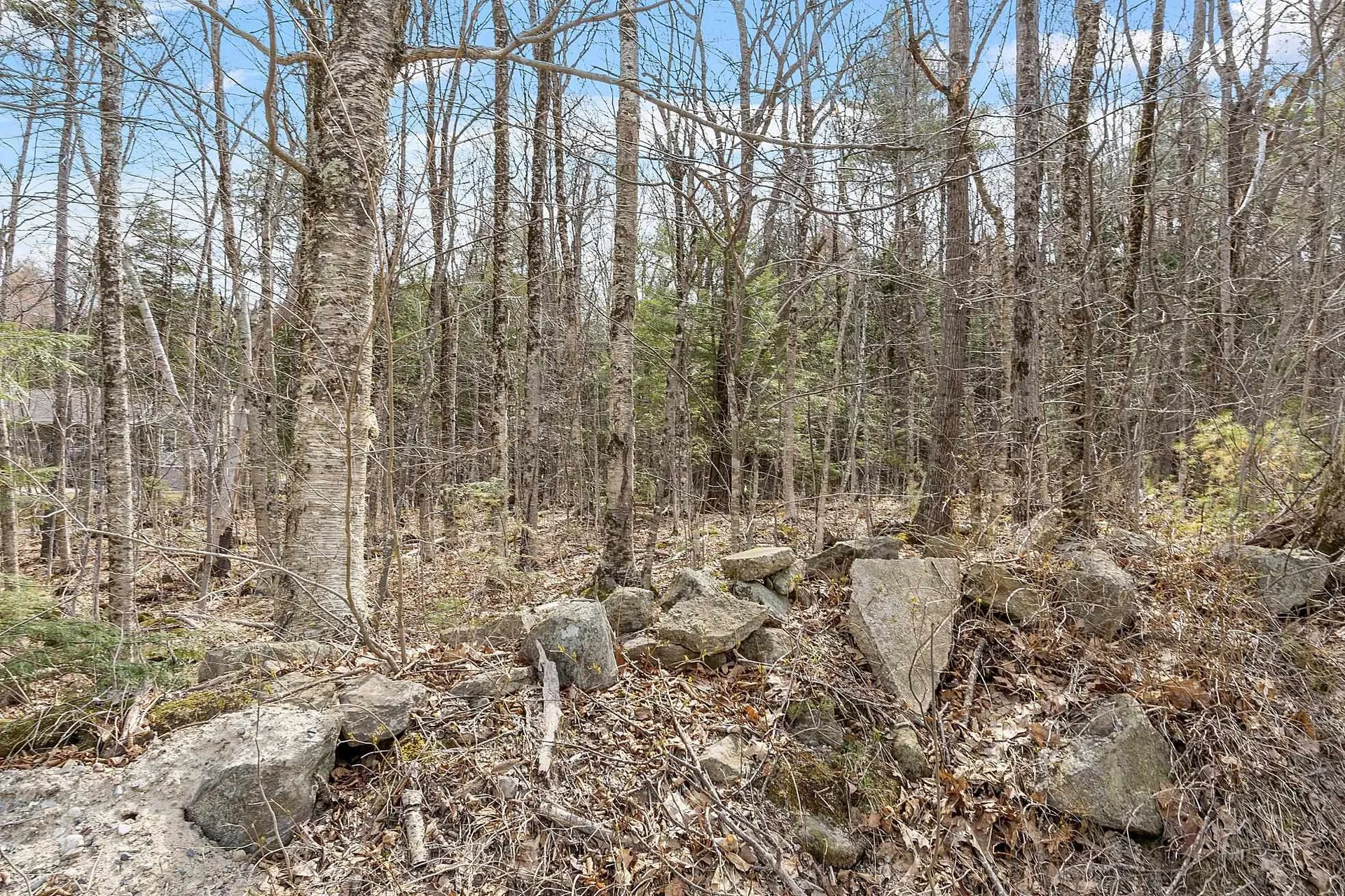 Map 20 Lot 13 Beach Pond Road Wolfeboro NH 03894