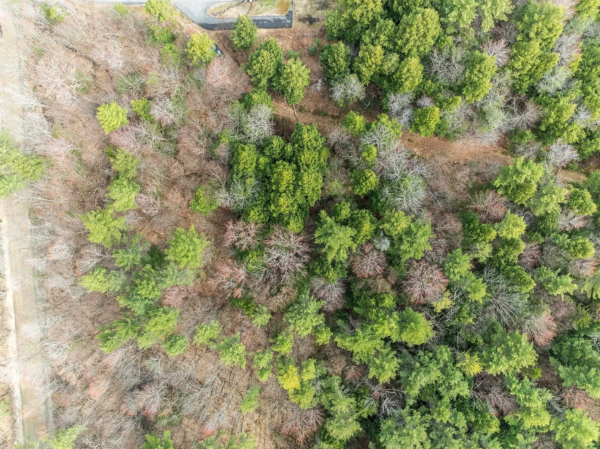 Map 20 Lot 13 Beach Pond Road Wolfeboro NH 03894