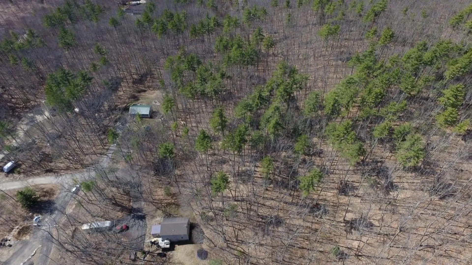 00 Castle Rock Road Barrington NH 03825