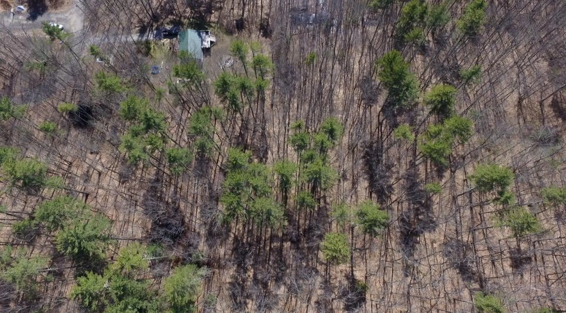 00 Castle Rock Road Barrington NH 03825