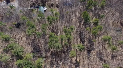 00 Castle Rock Road Barrington NH 03825