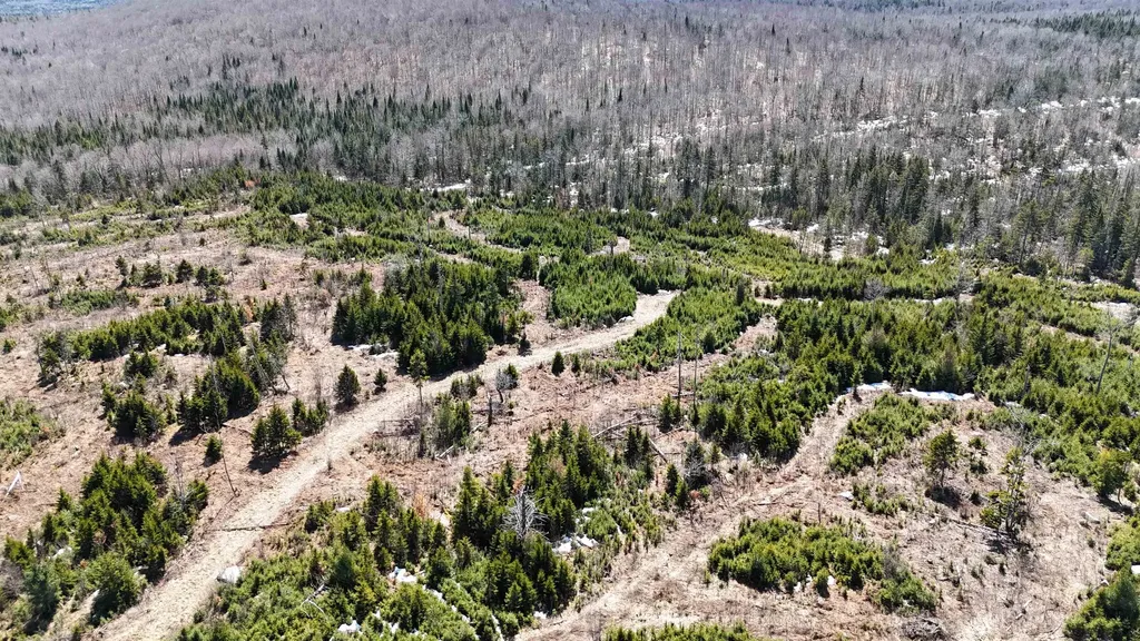 0 Pond Hill Road Lunenburg VT 05906