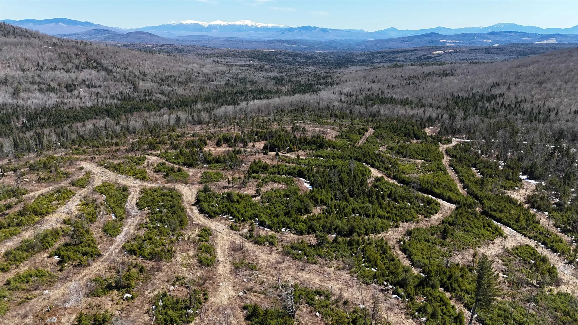 0 Pond Hill Road Lunenburg VT 05906