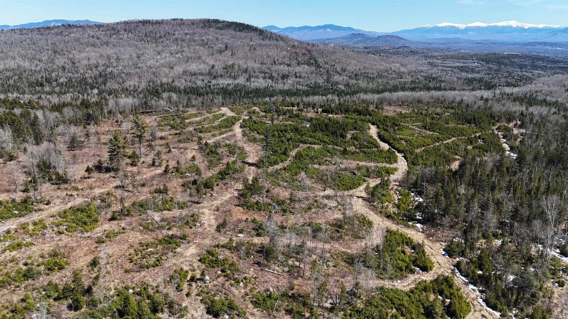 0 Pond Hill Road Lunenburg VT 05906