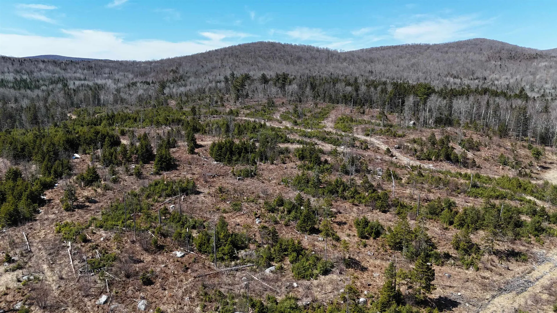 0 Pond Hill Road Lunenburg VT 05906