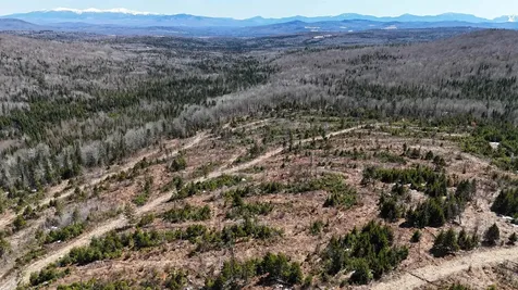 0 Pond Hill Road Lunenburg VT 05906