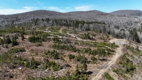 0 Pond Hill Road Lunenburg VT 05906