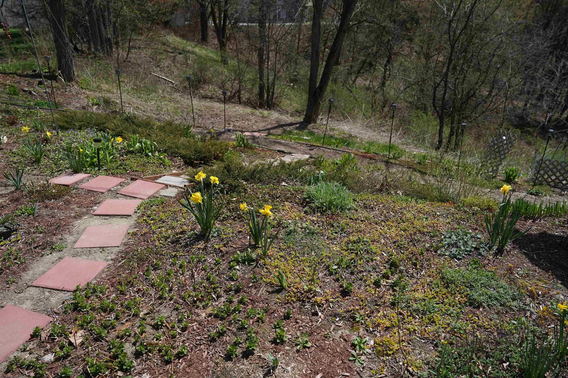 5 Richardson Place Lebanon NH 03784