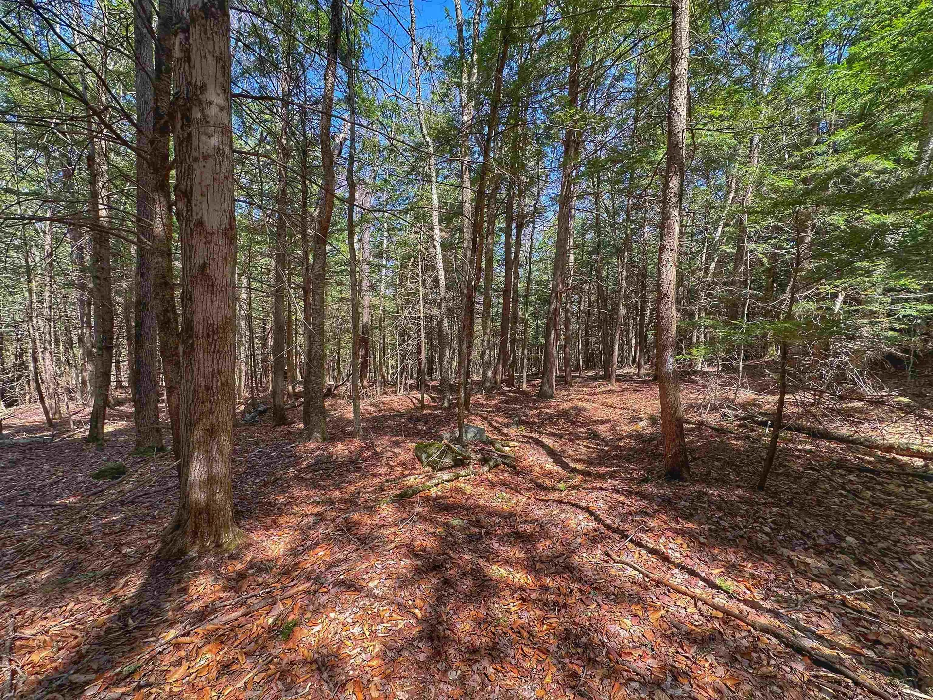 183 Bascom Road Newport NH 03773