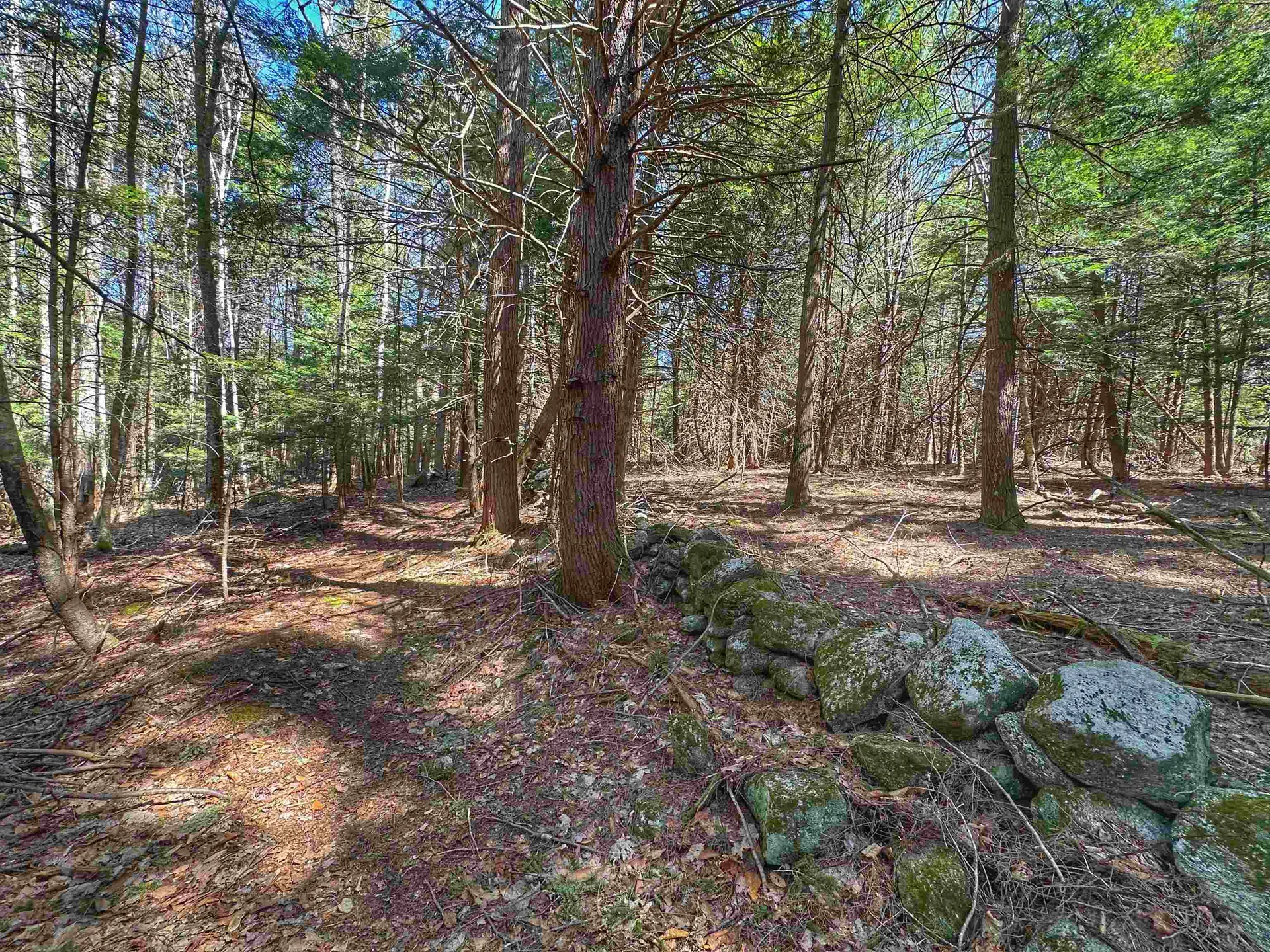 183 Bascom Road Newport NH 03773