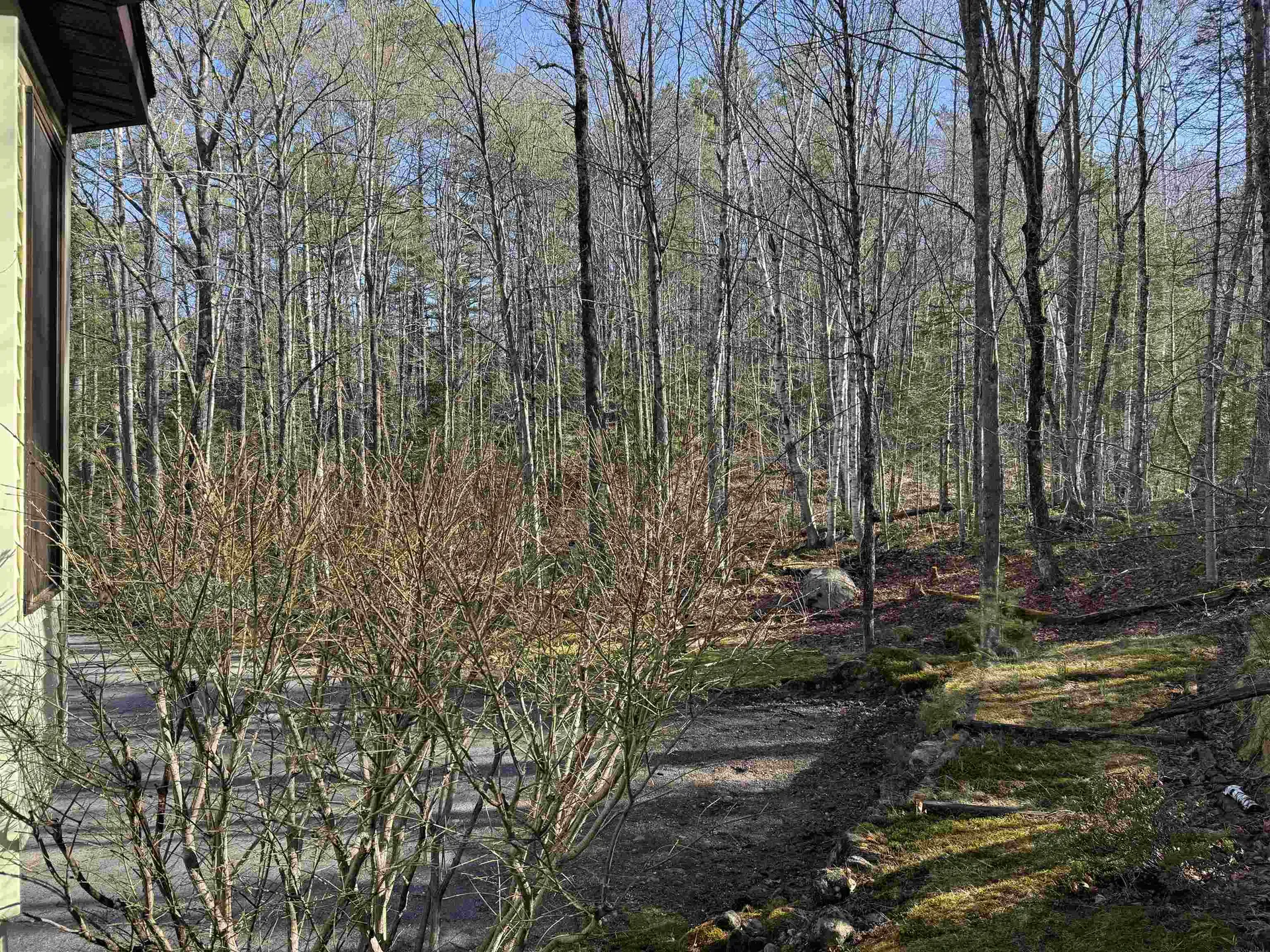 3685 Main Street Springfield NH 03284