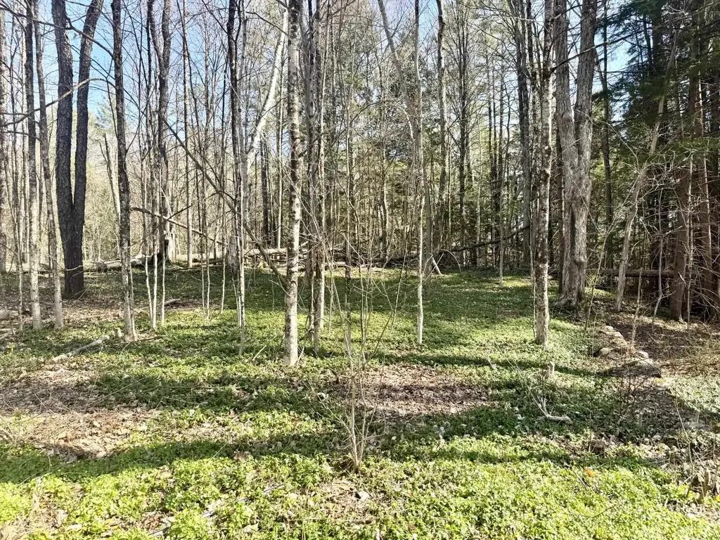 55 South Village Road Westmoreland NH 03467