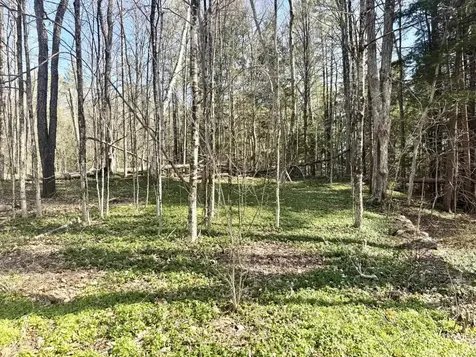 55 South Village Road Westmoreland NH 03467