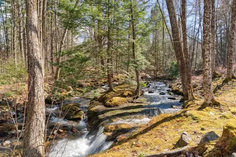 65 Moose Mountain Road Brookfield NH 03872