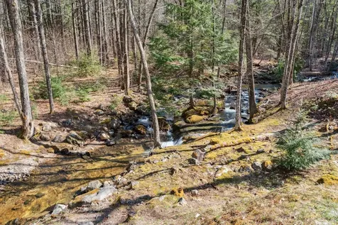 65 Moose Mountain Road Brookfield NH 03872