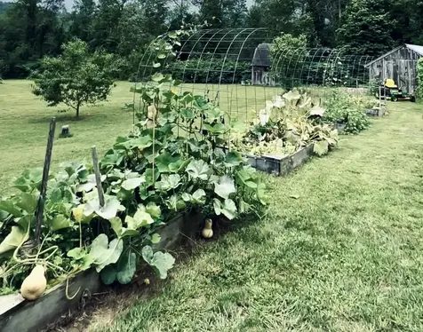 526 Northwest Road Canterbury NH 03224