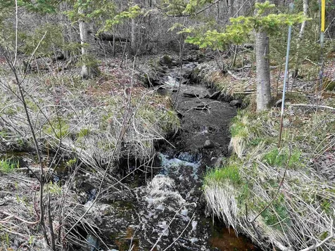 Jefferson Road Whitefield NH 03598