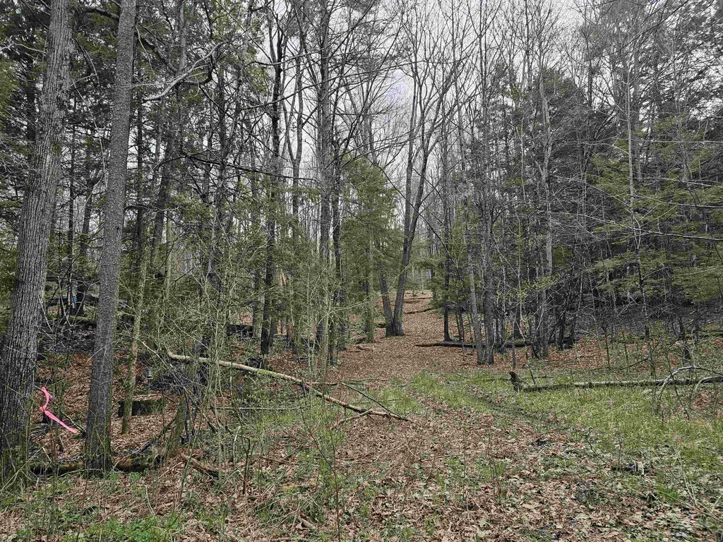 387 Weisenbach Road Monkton VT 05473