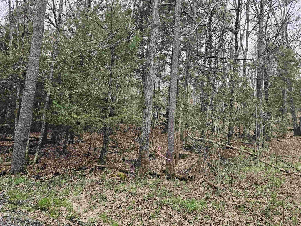 387 Weisenbach Road Monkton VT 05473