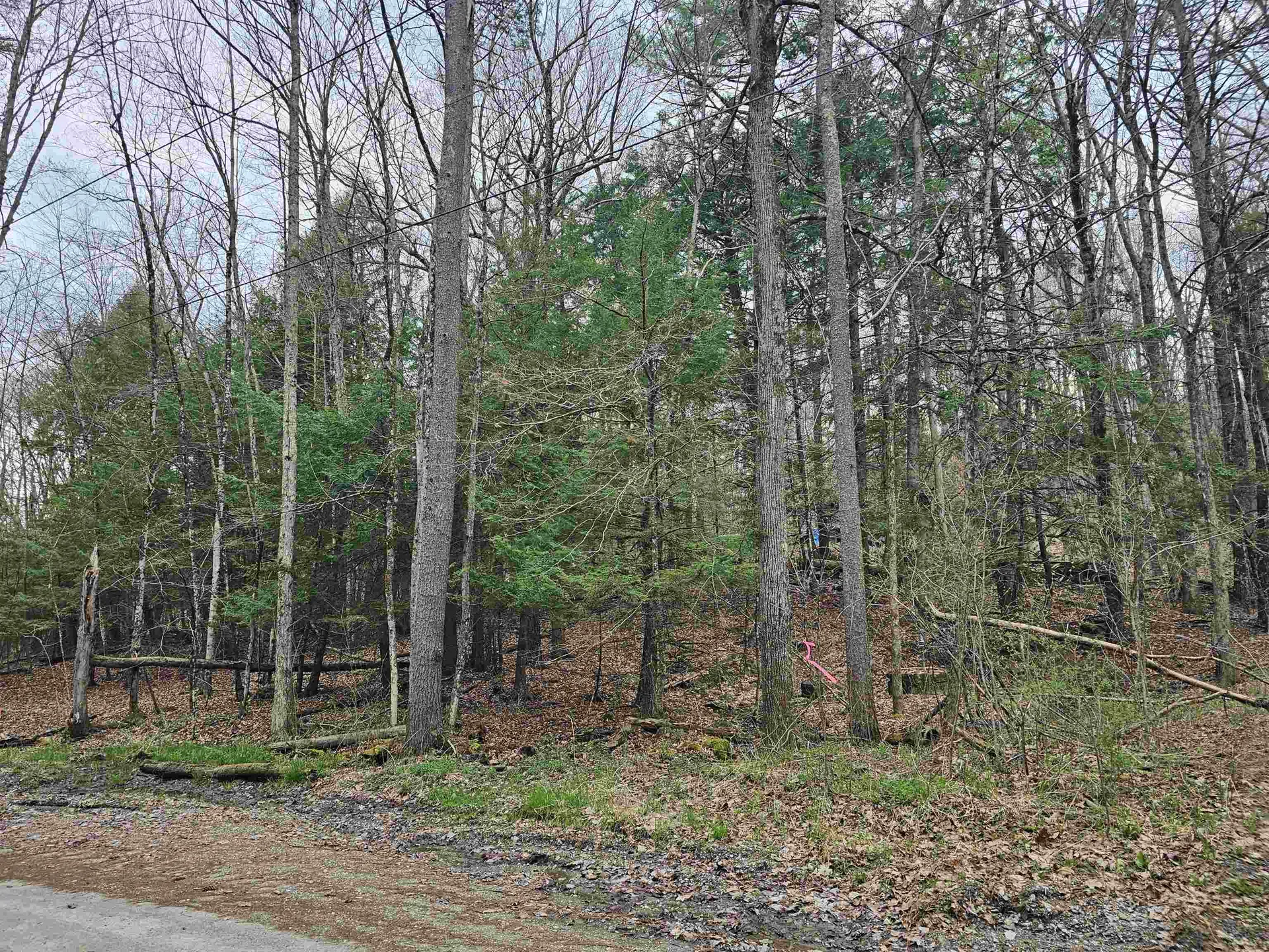 387 Weisenbach Road Monkton VT 05473