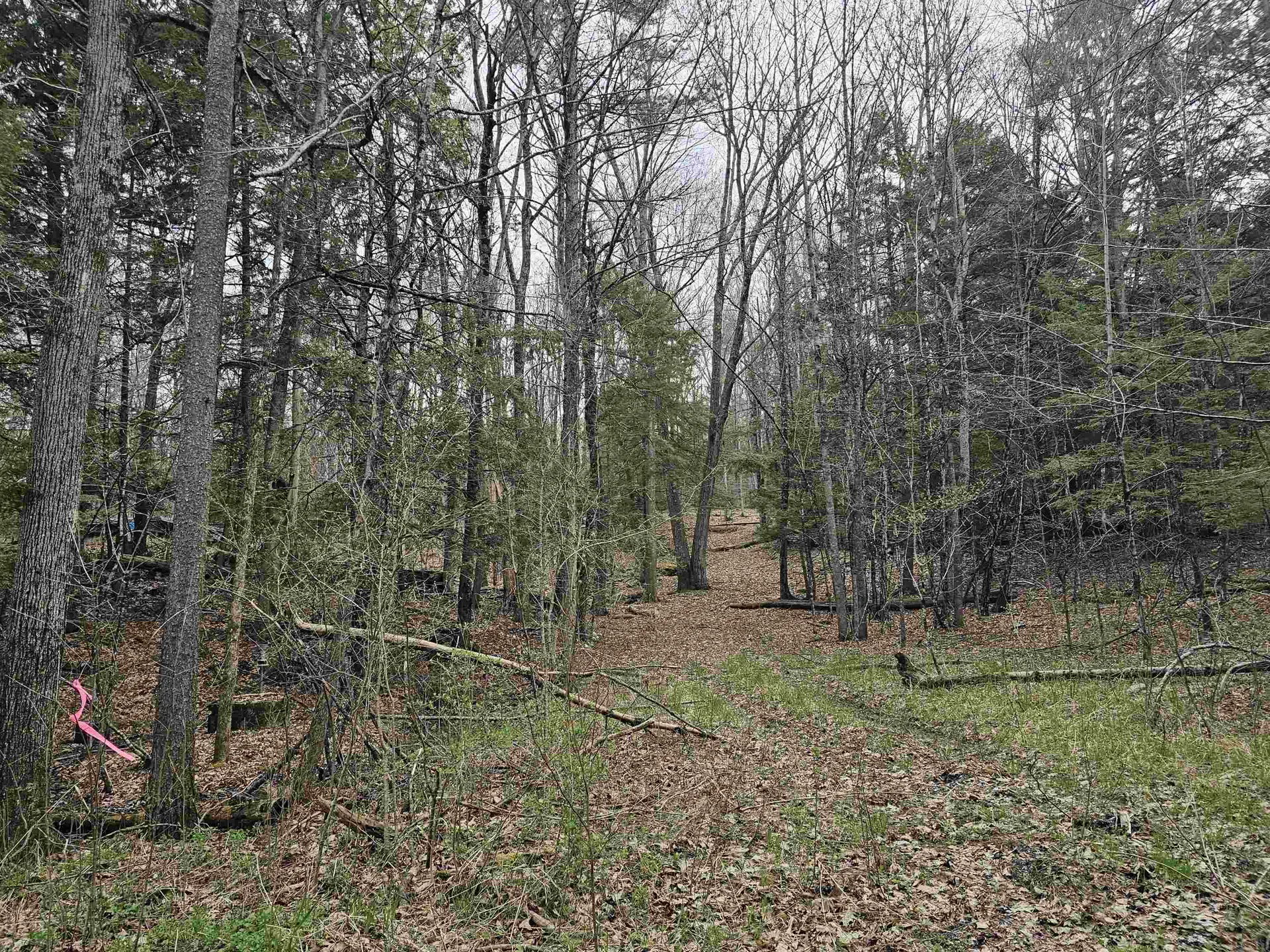 387 Weisenbach Road Monkton VT 05473